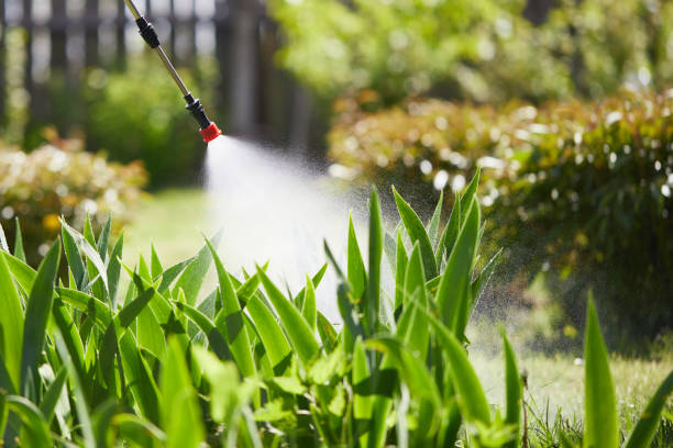 24/7 Emergency Mosquito Control experts in Shady Cove, OR